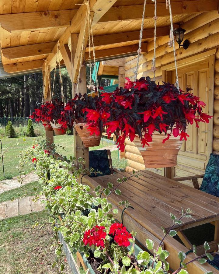 Brvnare Spasic Vinci Extérieur photo